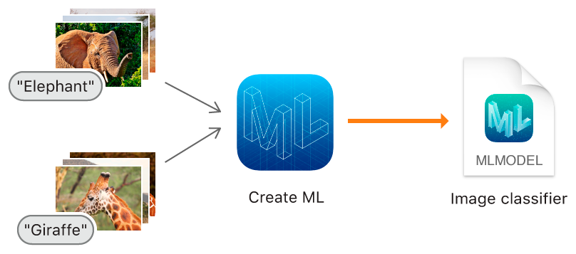 動物の画像がCreate MLに取り込まれて、動物分類器用のCore MLモデルファイルが生成されるプロセスを示すフロー図。