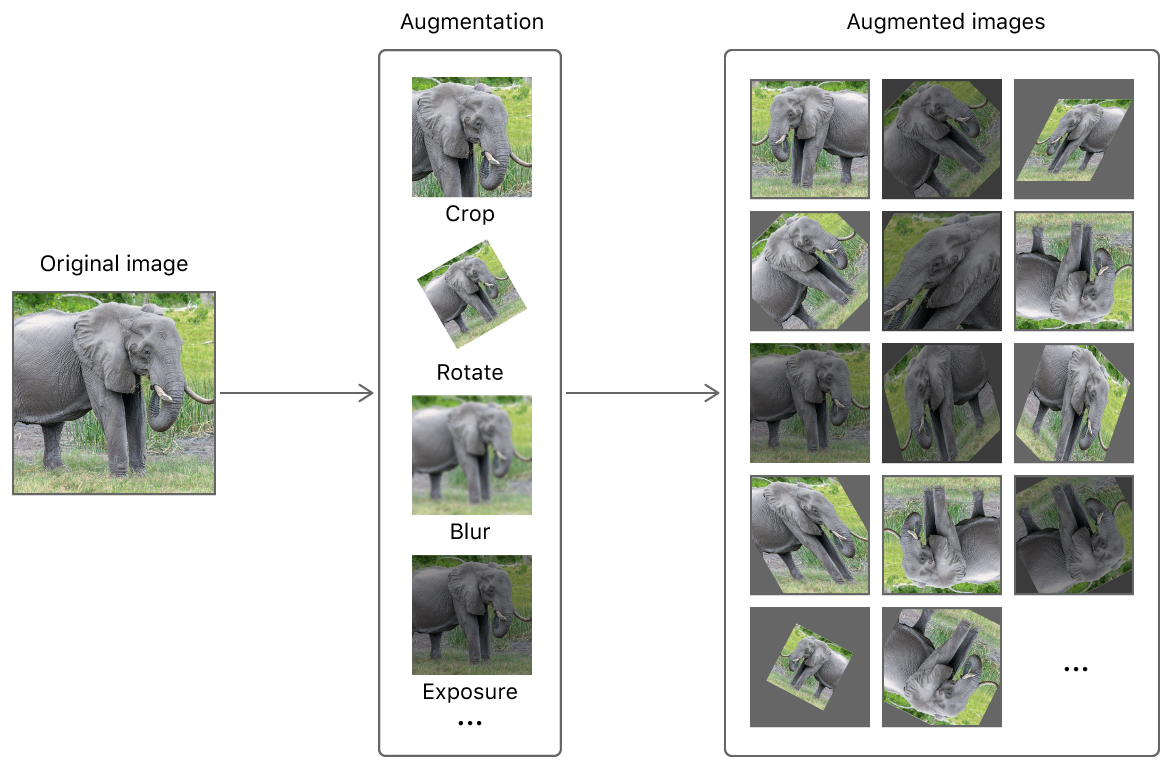 1枚のゾウの画像が、トリミング、回転、ぼかし、露出補正などの拡張を適用することによって多くの画像になることを示す図。